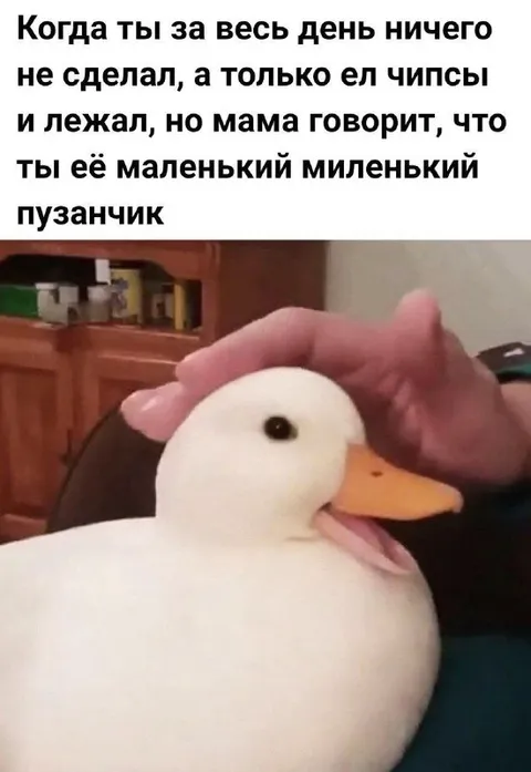 Маленький миленький пузанчик