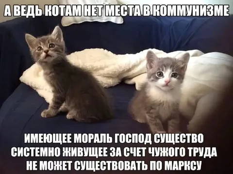 Котам нет места в коммунизме