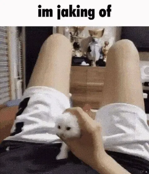 I'm Jaking Of Tiny Animal