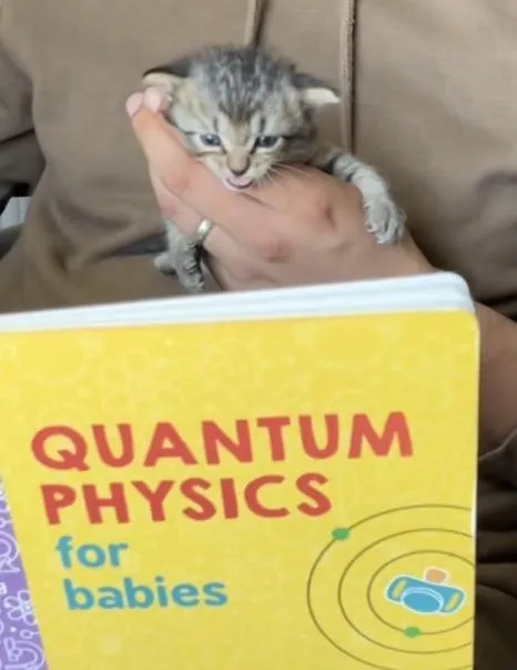 Quantum Physics for Babies