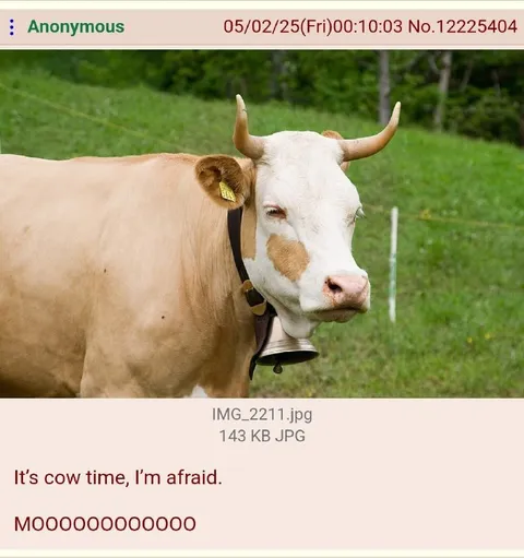 It’s Cow Time