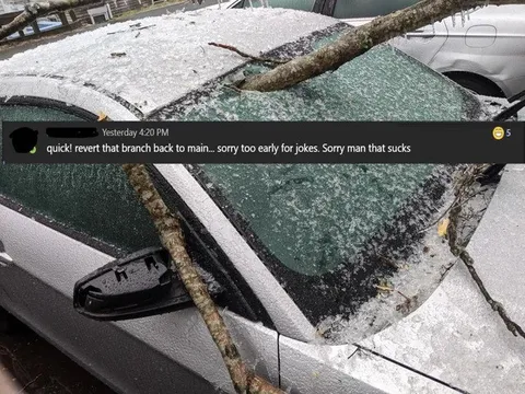 Branch Revert Car Crash