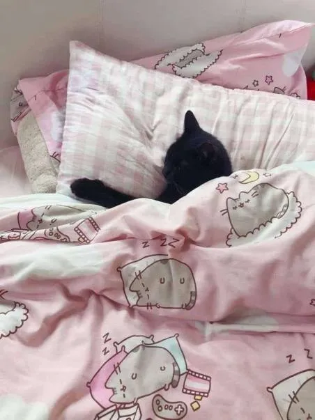 Кот спит под одеялом