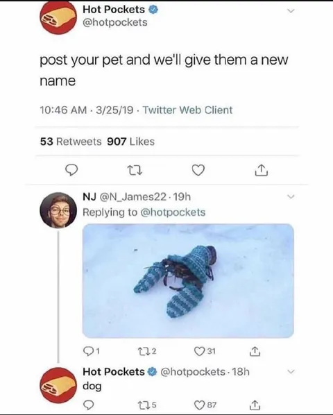 Pet Gets a New Name