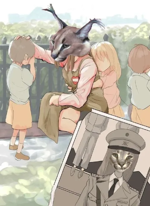 Кошачья семья в самолёте