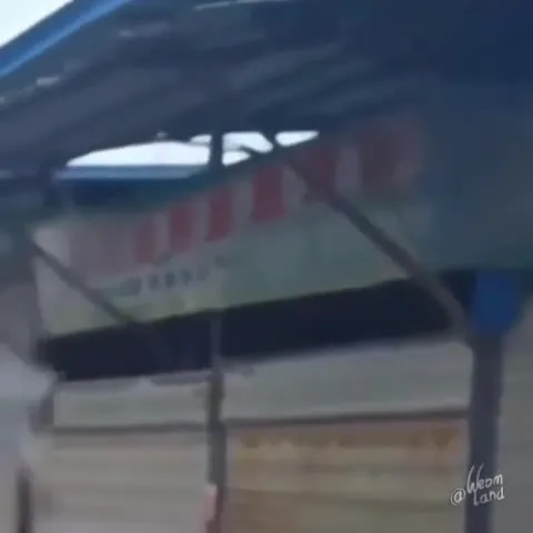 Собака исчезает в затопленной улице