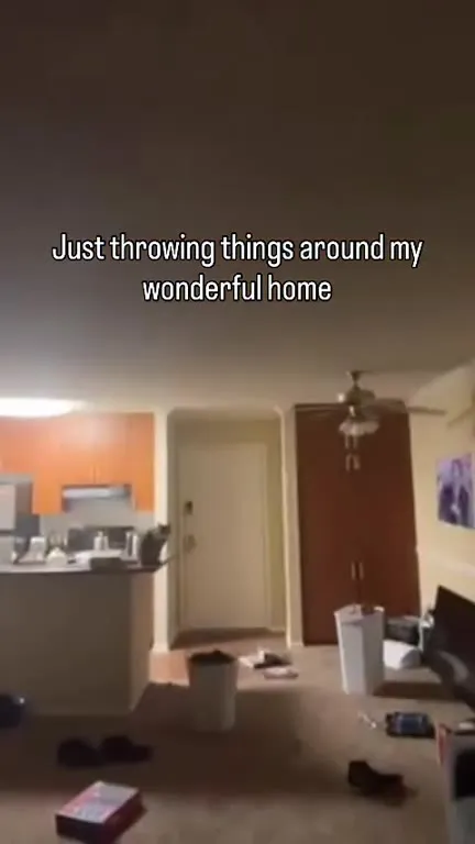 Throwing Things Around My Wonderful Home