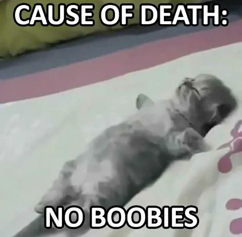 No Boobies Cause of Death