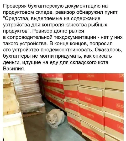 Средства на содержание складского кота