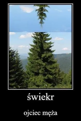 Świekier, ojciec męża