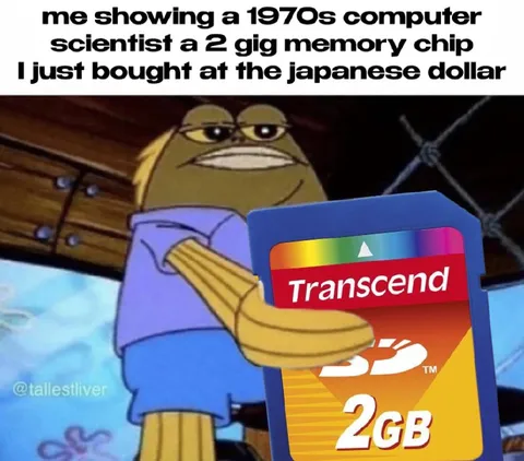 Showing a 1970s Computer Scientist a 2GB Chip