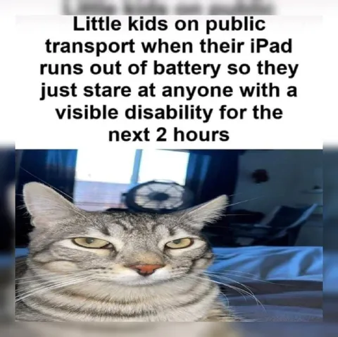 Kids Staring at Disabled Passengers