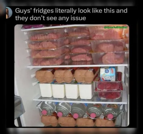 Guys’ Fridges Have No Issues