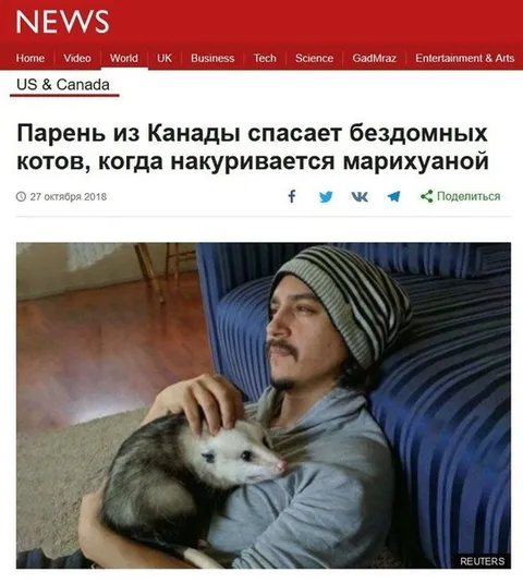 Парень спасает бездомных котов