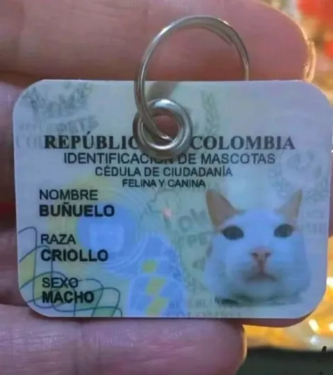 Cédula colombiana de Buñuelo
