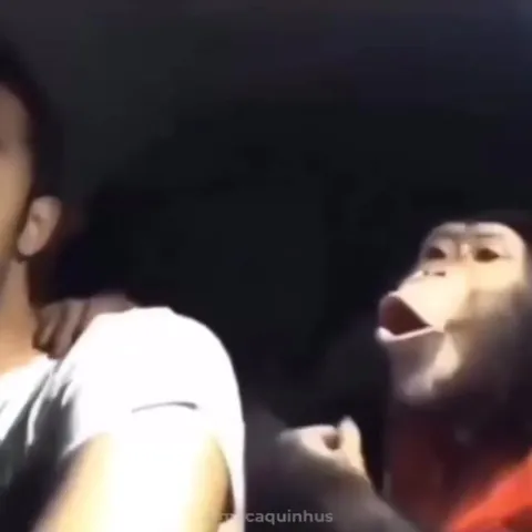Обезьяна кричит за спиной