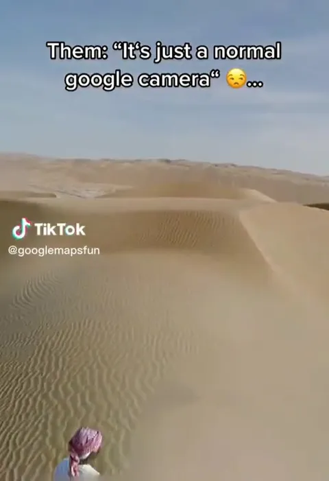 Google Camera Finds a Google Camel