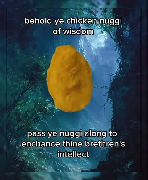 Chicken Nuggi of Wisdom
