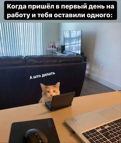 Первый день на работе