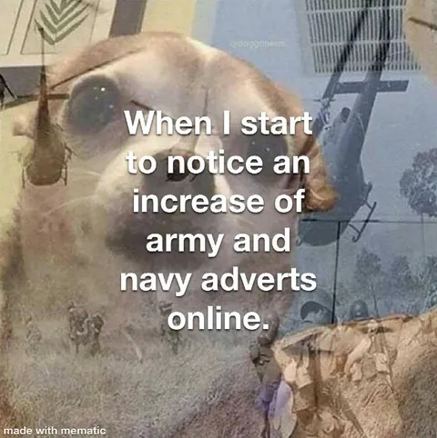 Cockroach Notices Military Ads