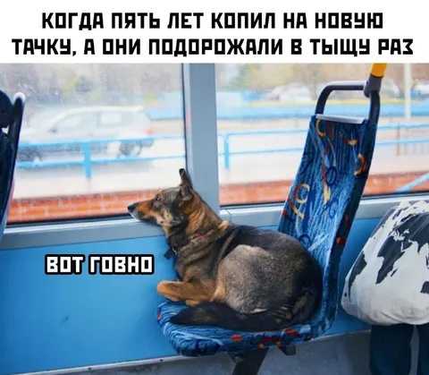 Пять лет копил на машину