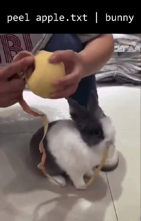 Peel Apple.txt Bunny