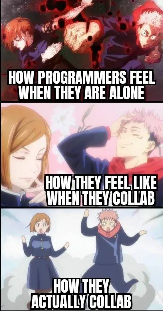 How Programmers Actually Collab