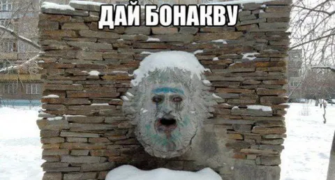 Дай бонакву