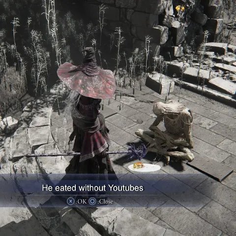He Eated Without Youtubes