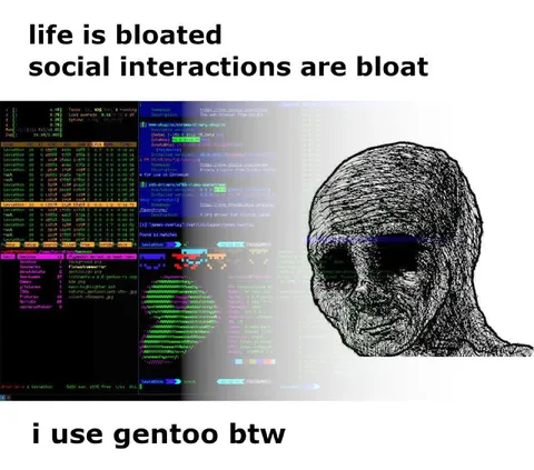 Gentoo Social Interactions