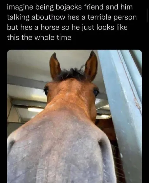 BoJack's Horse-Faced Confession