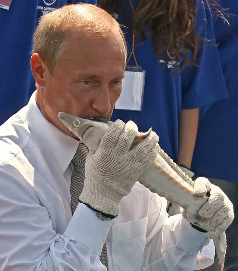 Путин играет на рыбе
