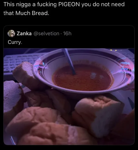 Pigeon With Too Much Bread