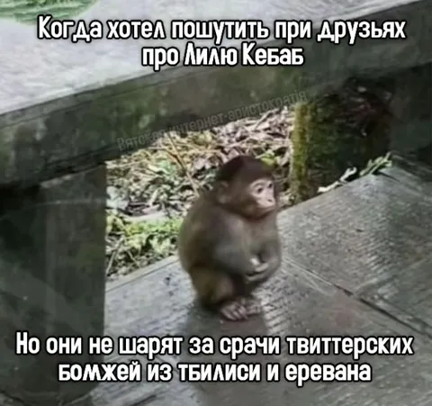 Шутка про Лилю Кебаб