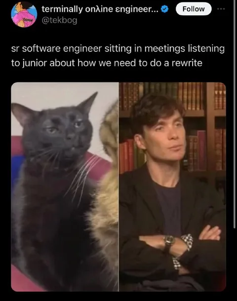 Senior Engineer Hearing About a Rewrite