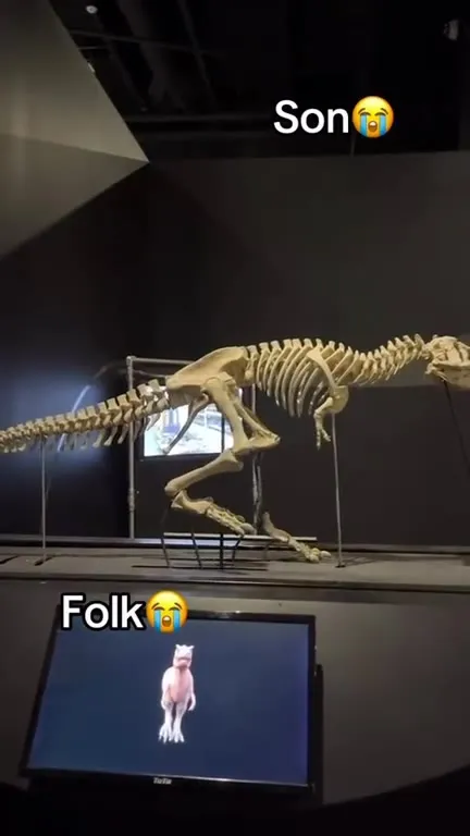 Son and Folk Walking Skeleton