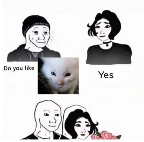 Do You Like Cats? Yes