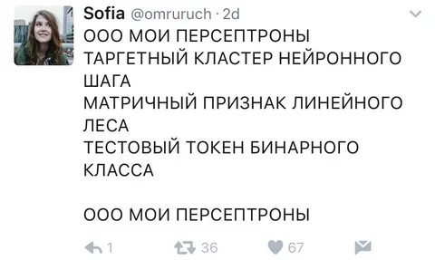 ООО мои персептроны