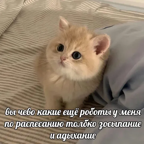 Только засыпание и дыхание