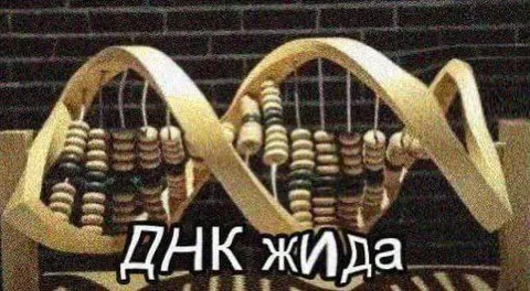 ДНК жида из счёт