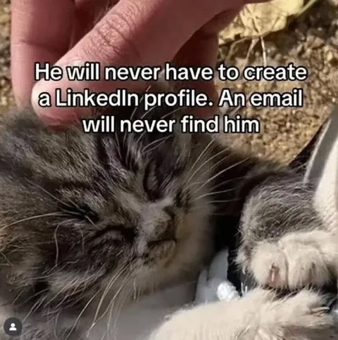 Cat Escapes LinkedIn Forever