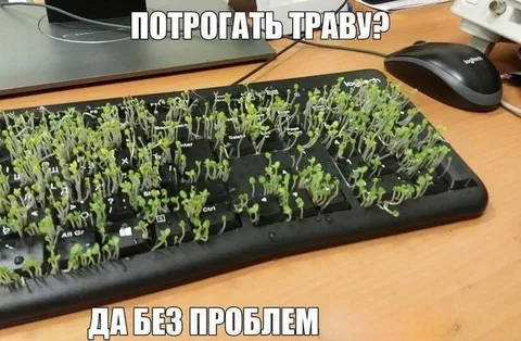 Потрогать траву без проблем