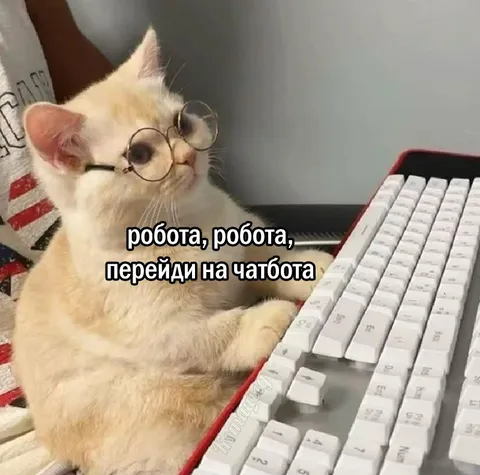 Кот переходит на чатбота