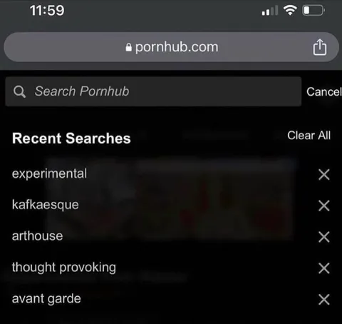 Pretentious Porn Search History