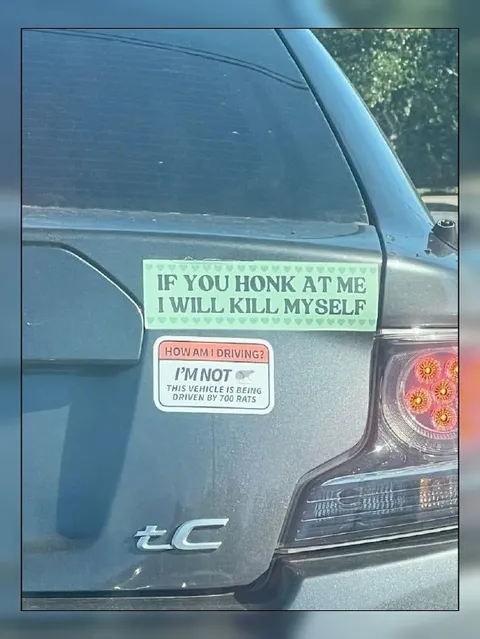 Car Driven by 700 Rats