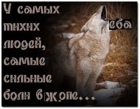 У самых мягких людей