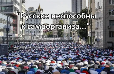 Русские неспособны к самоорганизации