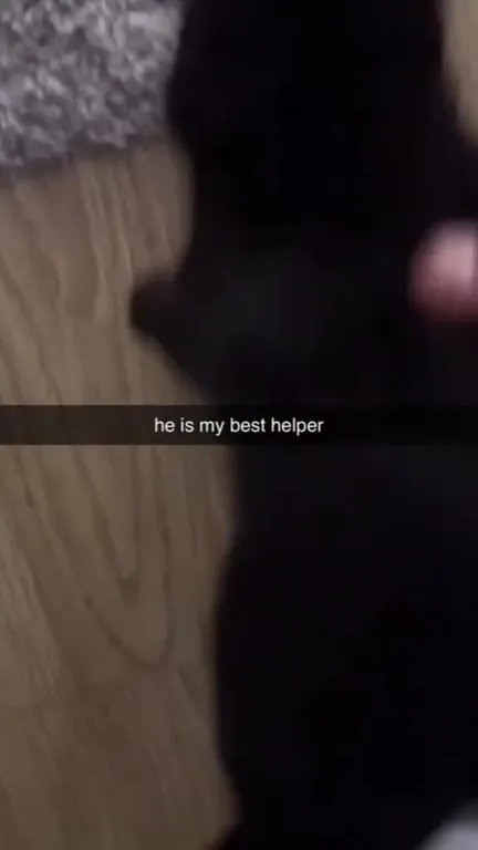 Best Helper Turns On the Xbox