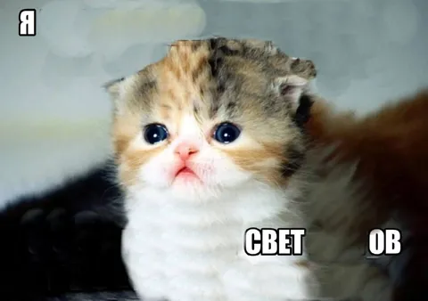Я свет об отключили