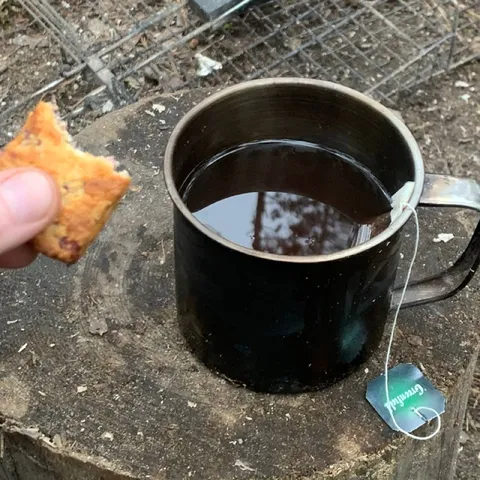 Tea and Pastry Outdoors